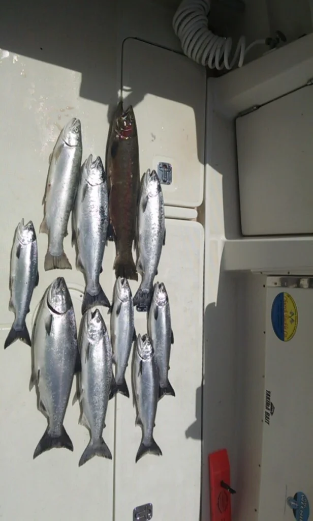 lake-michigan-charter-fishing-98